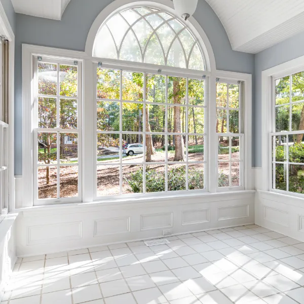 modern window trends