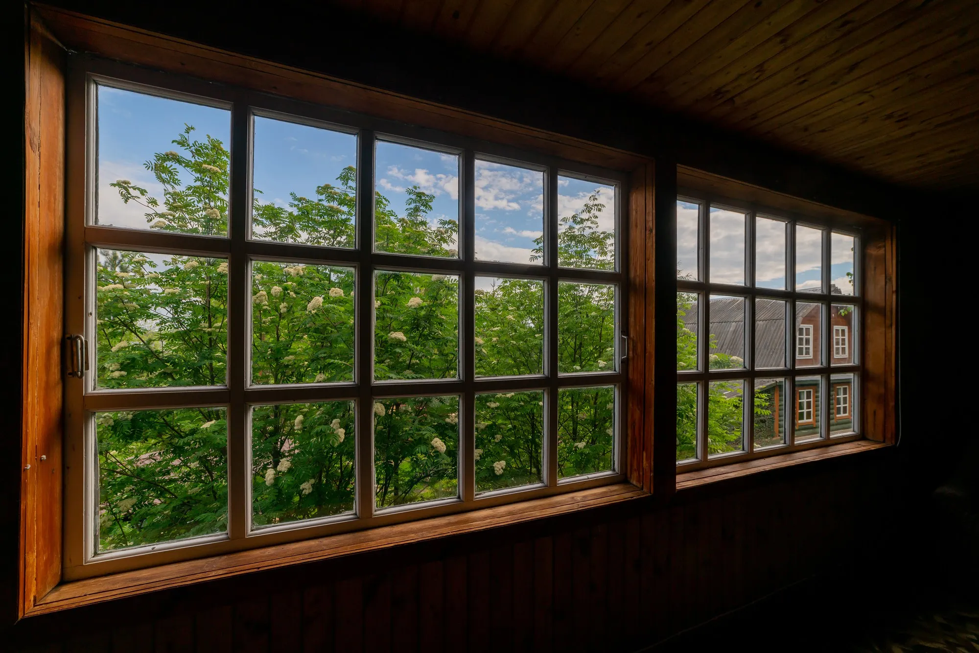 66bcdae8b9e3acd29e8c4c37 wood windows in Oak Bay